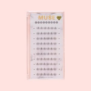 Mi Giả, Hộp Mi Cụm Muse