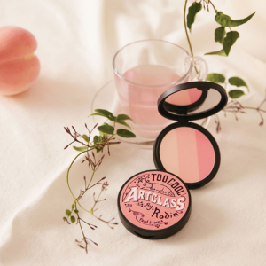 Phấn Má Hồng Toocool For School Art Class By Rodin Blusher 3 màu 9.5g