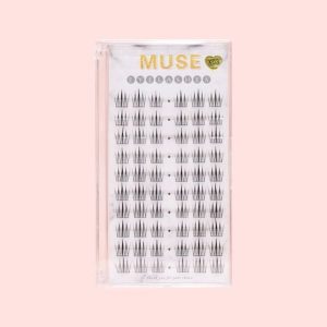 Mi Giả, Hộp Mi Cụm Muse