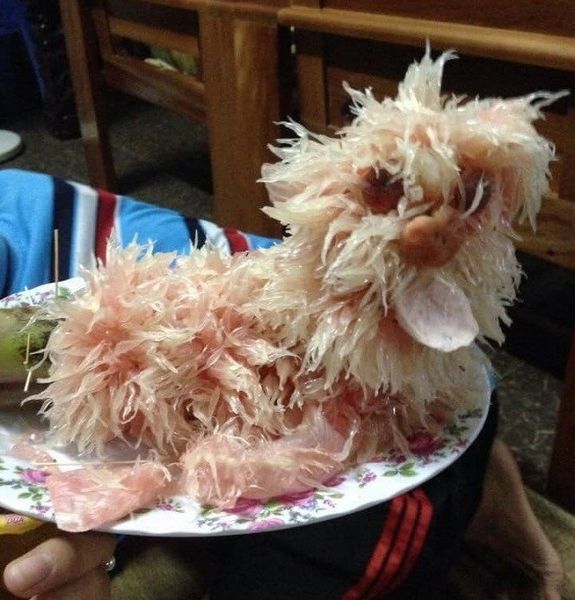 cho-1_8385396fdc044be887a5cf32b6036e44_grande