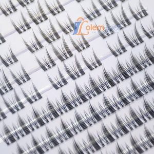 Mi Giả, Mi Cụm Mlen Diary Mi Tai Thỏ Hộp To