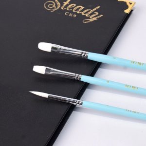 Bộ Cọ Vẽ Himi Miya 3 Cây Blue