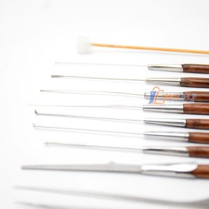 Bộ Ráy Tai Lâm Uyên Hộp 10 Cây, An Toàn, Tiện Lợi Cho Cả Gia Đình