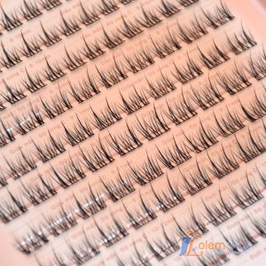 Mi Cụm Mlen Diary, Mi Mặt Trời