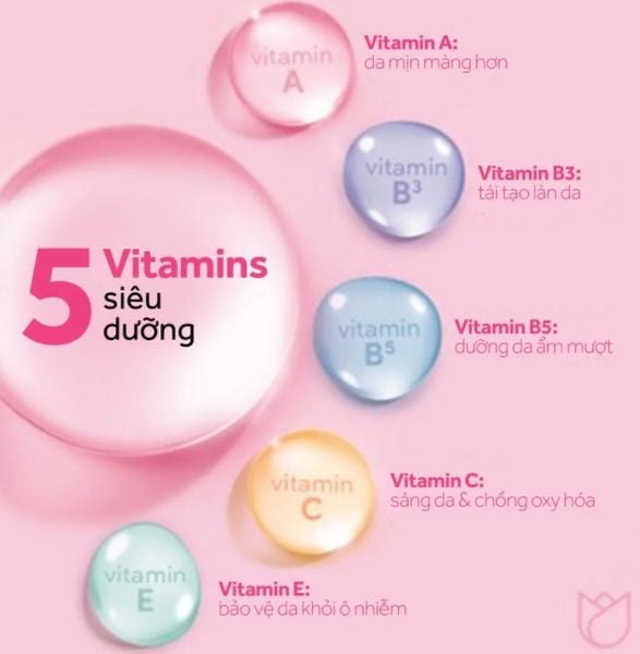 ntt_sang_da_ponds_vitamin_va_chiet_xuat_hoa_hong_12x235ml_3_e558c52b99854d73a4e7c76bc3d9409f_grande https://shoplolem.com/wp-content/uploads/2026/01/ntt_sang_da_ponds_vitamin_va_chiet_xuat_hoa_hong_12x235ml_3_e558c52b99854d73a4e7c76bc3d9409f_grande.jpg