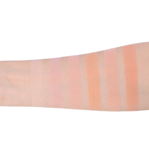 Má Hồng City Color Blush 6 Ô No 1 Coral Pink