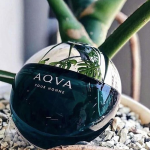 Nước Hoa Nam Bvlgari Aqva Pour Homme 100ml Edt