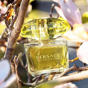 Nước Hoa Nữ Mini Versace 5ml Vàng Edt