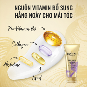 Dầu Xả Panten 300ml Phục Hồi Hư Tổn, Ngăn Ngừa Gãy Rụng