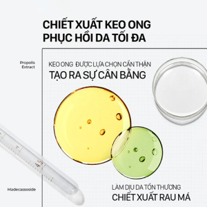 Serum Keo Ong Cnp Laboratory Propolis Energy Active Ampule 15mlx2