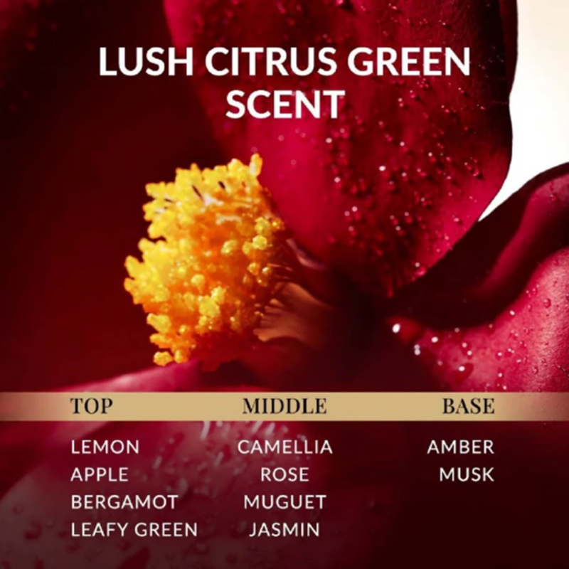 Dầu Gội, Dầu Xã Tsubaki Mới 450ml Tím