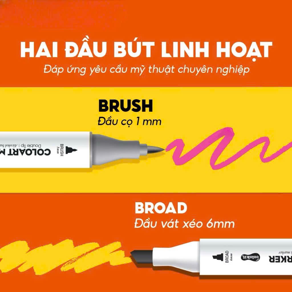 Bút Lông Mỹ Thuật Thiên Long Am-c001 12-24-36 Màu