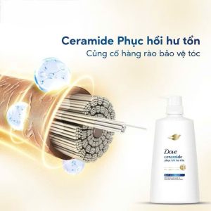 Kem Xả Dove 320g-610g Phục Hồi Hư Tổn