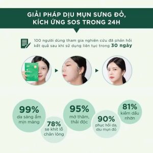 Mặt Nạ Trị Mụn Caryophy Portulaca Mask Sheet 3 In 1 22g